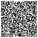 QR code with Clinton Landmark Inc contacts