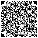QR code with Chicken Store & More contacts