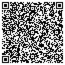 QR code with Color Space & Light contacts