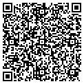 QR code with A A P contacts
