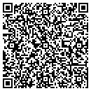 QR code with Pub St George contacts