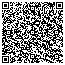 QR code with Pulsar Paper contacts