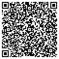 QR code with C Rando contacts
