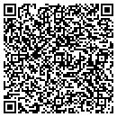 QR code with Carters Excavating contacts