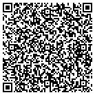 QR code with Pulse Fall Protection contacts