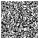 QR code with Precision Dialogue contacts