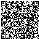 QR code with Blue Ribbon Cleaners contacts