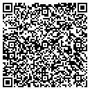 QR code with Colossus Painting Inc contacts