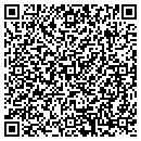 QR code with Blue Line Pools contacts