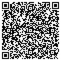 QR code with B-Call contacts