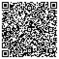 QR code with Hogies contacts