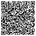 QR code with Belfor contacts