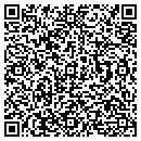 QR code with Process Plus contacts