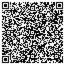 QR code with Premier Cellular contacts