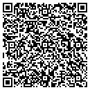 QR code with Pro Paint Solutions contacts