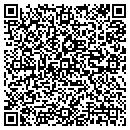 QR code with Precision Works Inc contacts