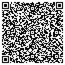 QR code with Pullins Excavation Inc contacts