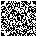 QR code with Pyramid Designs contacts
