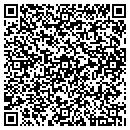 QR code with City Bag & Burlap Co contacts