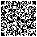 QR code with Protective Financial contacts