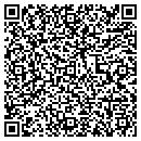 QR code with Pulse Journal contacts