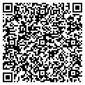 QR code with Gallery contacts