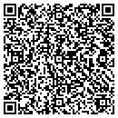 QR code with Borealis River Guides contacts