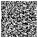 QR code with Cobra Systems Inc contacts