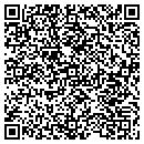 QR code with Project Mainstream contacts