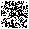 QR code with Delphi contacts