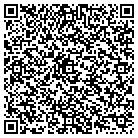 QR code with Public Service Technology contacts