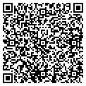 QR code with IBEW contacts