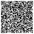 QR code with Puzzling Pieces contacts