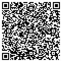 QR code with Anthem contacts