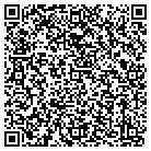 QR code with Blimpie Subs & Salads contacts