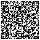 QR code with Prognostix contacts
