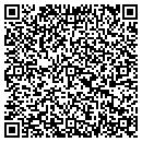 QR code with Punch Out Plus LLC contacts