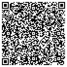 QR code with Blimpie Subs & Salads contacts