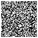 QR code with Carry S&S Out contacts