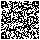 QR code with Premier Mantenance contacts