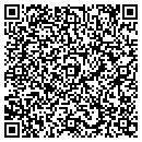 QR code with Precision Motors Inc contacts