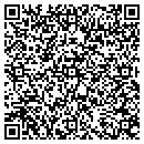 QR code with Pursuit Group contacts