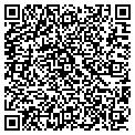 QR code with Alltel contacts