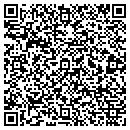QR code with Collector Connection contacts