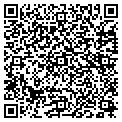 QR code with Dvm Inc contacts