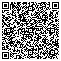 QR code with Lifeline contacts