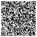 QR code with Curves contacts