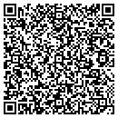 QR code with Premiere Conferencing contacts