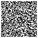 QR code with Public Squares Inc contacts