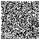 QR code with Process Instruments contacts
